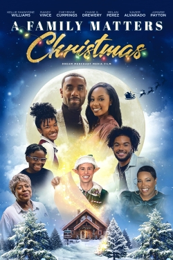 Watch free A Family Matters Christmas movies online