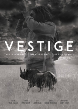 Watch free Vestige movies online