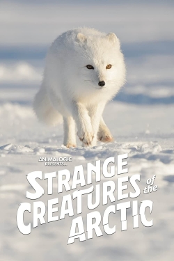 Watch free Strange Creatures of the Arctic movies online