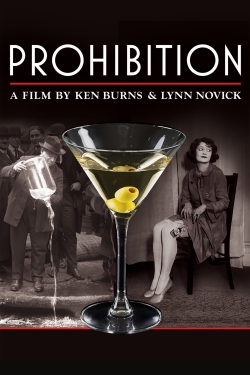 Watch free Prohibition movies online