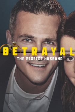 Watch free Betrayal: The Perfect Husband movies online