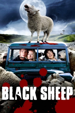 Watch free Black Sheep movies online