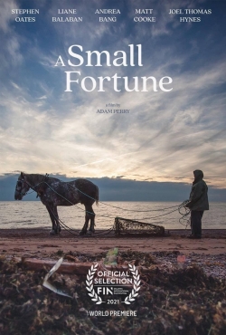 Watch free A Small Fortune movies online