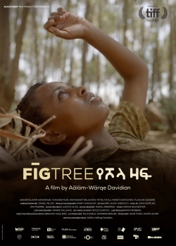 Watch free Fig Tree movies online