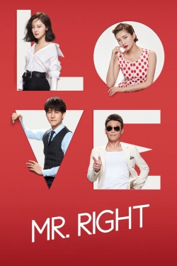 Watch free Mr. Right movies online