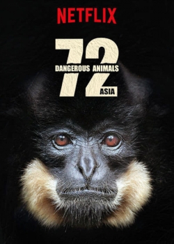 Watch free 72 Dangerous Animals: Asia movies online