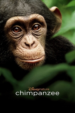 Watch free Chimpanzee movies online