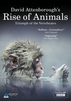 Watch free David Attenborough's Rise of Animals: Triumph of the Vertebrates movies online