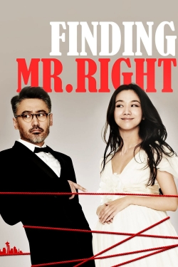 Watch free Finding Mr. Right movies online