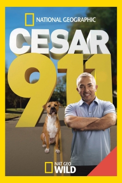 Watch free Cesar 911 movies online