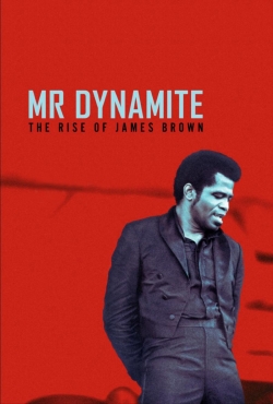 Watch free Mr. Dynamite - The Rise of James Brown movies online