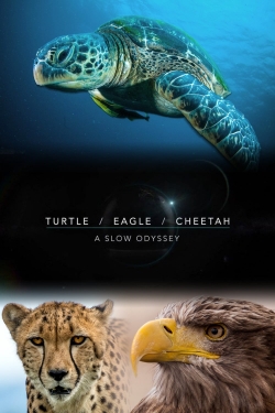 Watch free Turtle, Eagle, Cheetah: A Slow Odyssey movies online