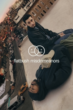 Watch free Flatbush Misdemeanors movies online