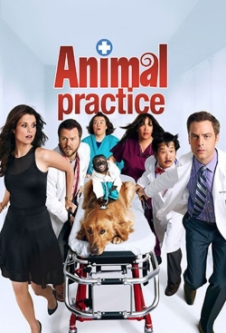 Watch free Animal Practice movies online