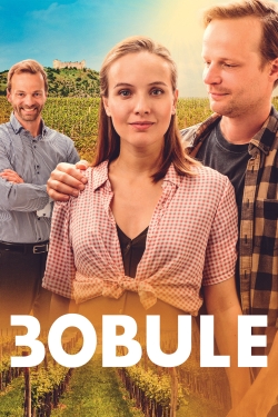 Watch free 3Bobule movies online