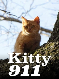 Watch free Kitty 911 movies online