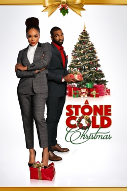 Watch free A Stone Cold Christmas movies online