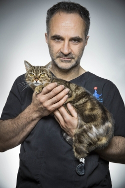 Watch free The Supervet movies online