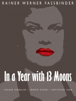 Watch free In a Year with 13 Moons movies online