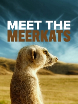 Watch free Meet The Meerkats movies online