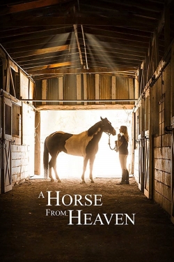 Watch free A Horse from Heaven movies online