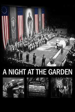 Watch free A Night at the Garden movies online